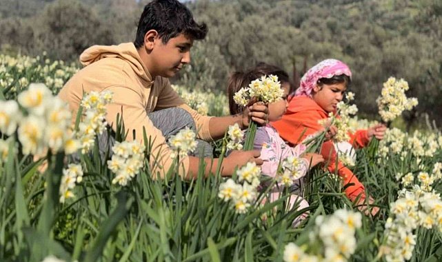 Mis kokulu nergis bilime de ilham kaynağı oluyor