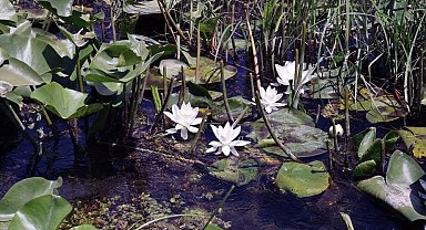 MSKÜ'lü bilim insanlarından kozmetik sektöründe uluslararası başarı