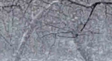 Mudurnu'da lapa lapa kar yağışı etkili oldu