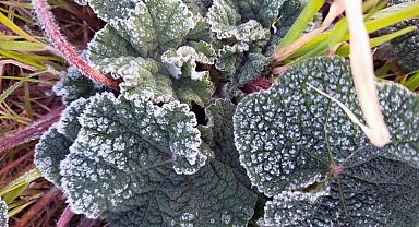 Muğla 5 gün soğuk havanın etkisinde olacak