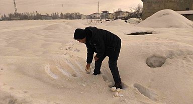 Muş'ta bembeyaz kar bir gecede kahverengiye dönüştü