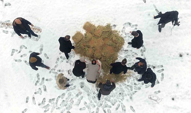 Muş'ta yaban hayatı için doğaya yem bırakıldı