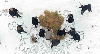 Muş'ta yaban hayatı için doğaya yem bırakıldı