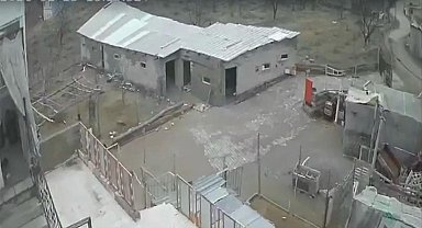 Nevşehir'de fırtına ağıl ve mandırayı vurdu: 12 koyun telef oldu