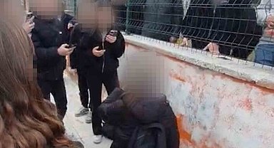 Okul önünde akran zorbalığı kameraya yansıdı: Diz çöktürüp zorla özür dilettiler