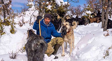 Öldürülen köpeğine otopsi yaptırdı, sorumluların bulunmasını istiyor