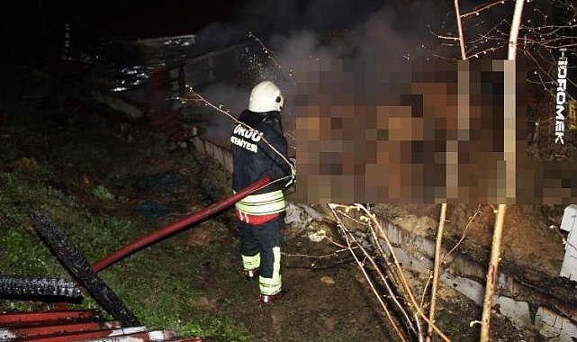Ordu'da ahır yangını: 27 büyükbaş hayvan telef oldu