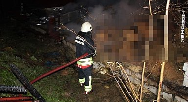 Ordu'da ahır yangını: 27 büyükbaş hayvan telef oldu