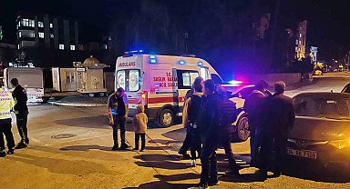 Ordu'da trafik kazası: 2 yaralı