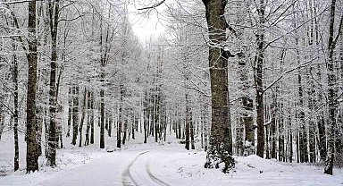 Ordu'nun 15 ilçesinde eğitime kar engeli