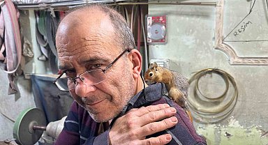 Ormanda bulduğu sincap en yakın dostu oldu