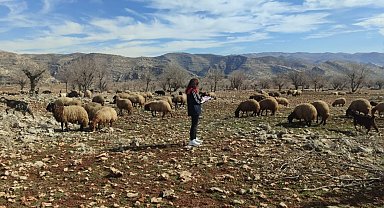 Ormaniçi'nde mera seferberliği: Ekipler sahada, arazi kullanımı mercek altında