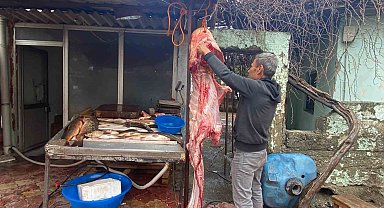 Osmaniye'de 2 metrelik dev yayın balığı vatandaşın ilgi odağı oldu