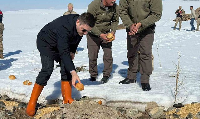 Özalp ilçesinde doğaya yem bırakıldı
