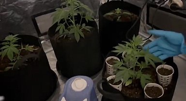 Özel düzenekle uyuşturucu yetiştirilen eve polis baskını