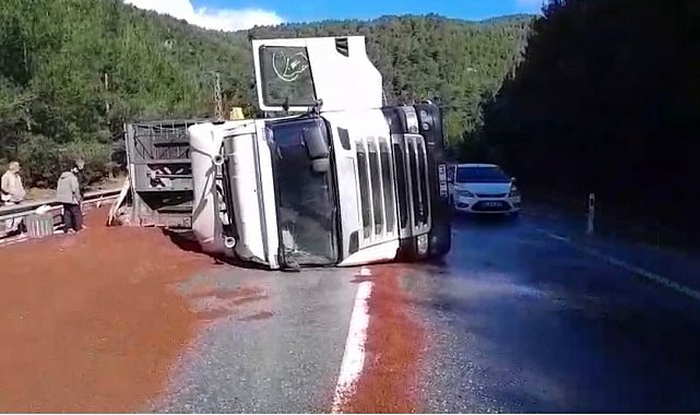 Peyzaj malzemesi yüklü tır devrildi