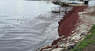 Poyraz sahili kırmızıya boyadı