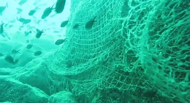 Prof. Dr. Coşkun Erüz: "Karadeniz'in doğal ekosistemini ve biyoçeşitliliğini korumak için hayalet ağları temizlemek gerekli"