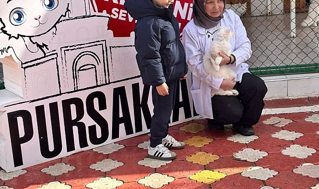 Pursaklar'da öğrencilerden kedi evine ziyaret