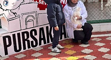 Pursaklar'da öğrencilerden kedi evine ziyaret