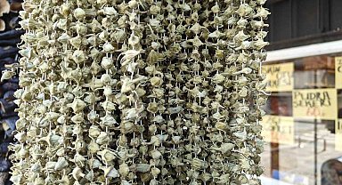 Ramazan'ın gözdesi bamya tezgahlarda