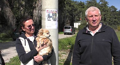 Rus sahipleri, kaybolan köpeklerini sokak sokak arıyor: Canlı bulana 100 bin, ölü bulana 10 bin ödül