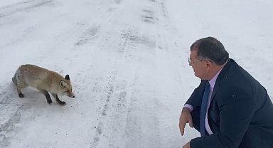 Sahara Geçidi'nde karşılaştığı tilkiye yiyecek verdi