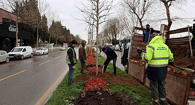 Sakarya'da 3 ayda 2 bin 500 ağaç dikildi
