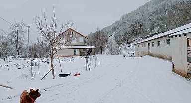 Sakarya'da yüksek kesimlerde kar, şehir merkezinde yağmur etkili oldu