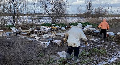 Salihli'de 103 kovan arı sele kapıldı