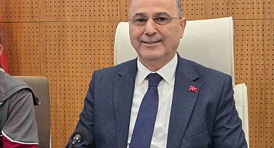 Samsun'da konteynerde bulunan 9 köpekle ilgili rapor açıklandı: "Doğal ölüm"