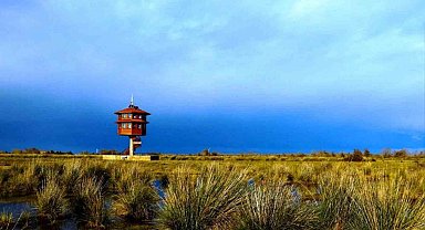 Samsun'da tabiat parklarını 186 bin 271 kişi gezdi