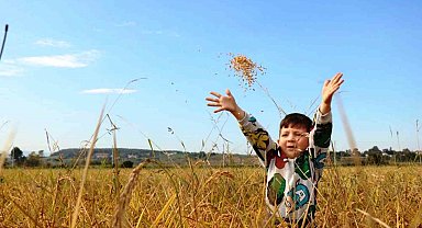 Samsun'da tarımsal üretime 6 milyara yakın destek ödemesi yapıldı
