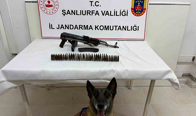 Şanlıurfa'da uzun namlulu silah ele geçirildi: 1 gözaltı