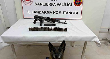 Şanlıurfa'da uzun namlulu silah ele geçirildi: 1 gözaltı