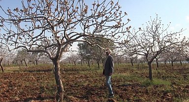 Şanlıurfa'da yoğun kar yağışları çiftçinin yüzünü güldürdü