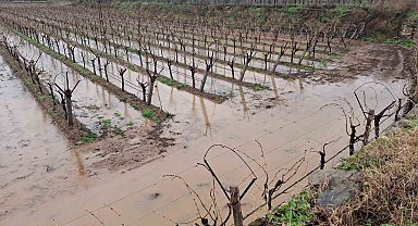 Sarıgöl'de bereketli yağmurlar yüzleri güldürdü