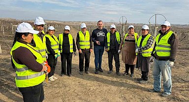 Sarıgöllü ziraat mühendisi Azerbaycan'da bağ budama tekniklerini öğretti