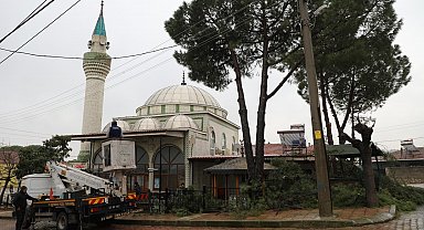 Şehzadeler Belediyesi'nin budadığı dallar ihtiyaç sahiplerinin ocağını ısıtıyor