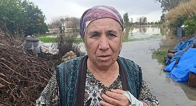 Selde mahsur kalan köpeği AKOM ekipleri kurtardı