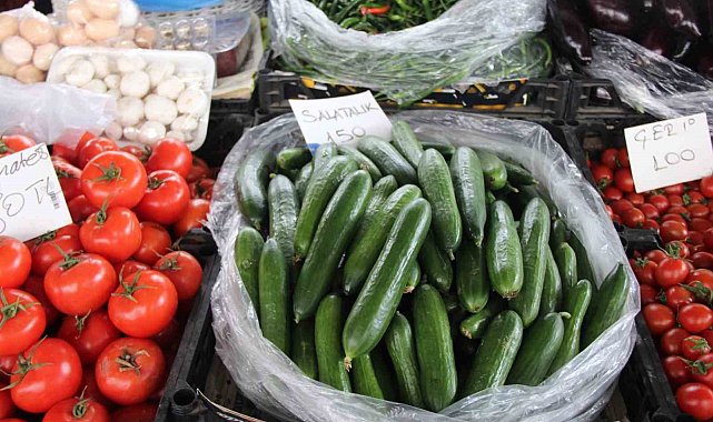 Seralar zarar gördü, Muğla'da salatalık rekor fiyata ulaştı
