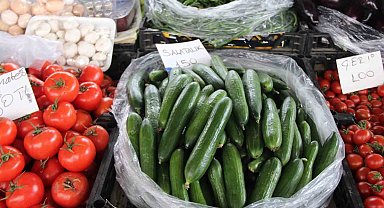 Seralar zarar gördü, Muğla'da salatalık rekor fiyata ulaştı