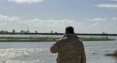 Seyhan Nehri taştı, Tarsus'ta tarım arazileri sular altında kaldı