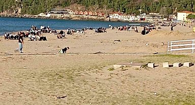 Sıcaklığın 28 dereceye çıktığı Bartın'da plaj ve parklar doldu