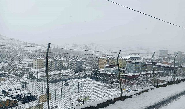 Siirt'te 3 ilçede eğitime kar engeli