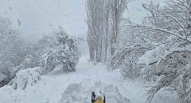 Siirt'te karla kaplı yollar ulaşıma açıldı
