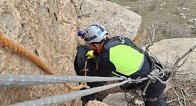 Siirt'te üç gündür mahsur kalan keçi dağcılar tarafından kurtarıldı