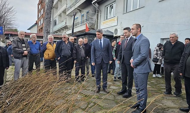 Sinop'ta 900 fırıncık armudu fidanı dağıtıldı
