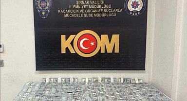 Şırnak'ta asayiş, narkotik ve kaçakçılık operasyonlarında 10 tutuklama