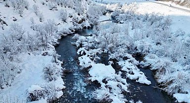 Şırnak'ta beyaza bürünen dağ ve ağaçlar göz kamaştırdı